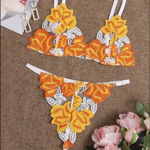 Embroidered Floral Lace Bra Set