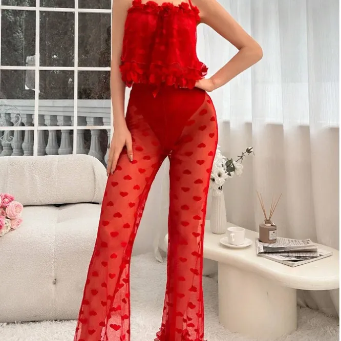 Mesh Heart Print Cami and Pants Set