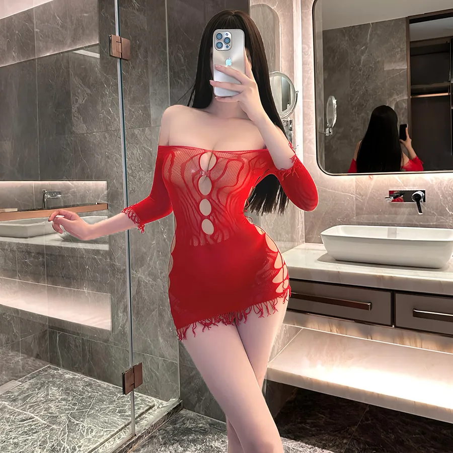 Long Sleeve Mesh Mini Dress